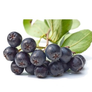 Aronia Extract