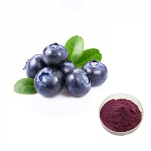 Blueberry Powder