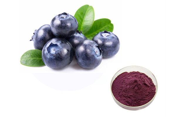 Blueberry Powder