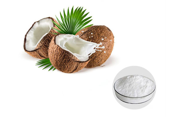 Coconut Juice Powder