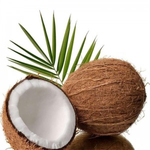 Poudre de jus de noix de coco