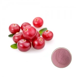 Cranberry Extract