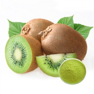 Bubuk Ekstrak Buah Kiwi