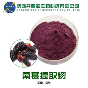 Mulberry Powder