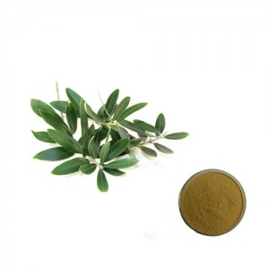 Olivenblad ekstrakt