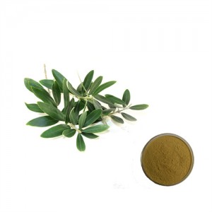 Olive Leaf extract