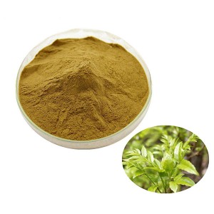 Rattan Tea Extract