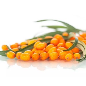 Seabuckthorn Powder