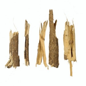 Sibirya Ginseng Ekstraktı