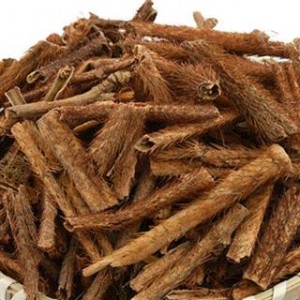 Siberian Ginseng Extract