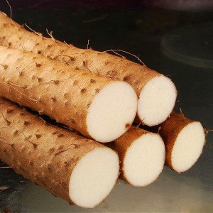 Wild Yam extract