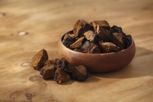 Chaga Mantarı Özü