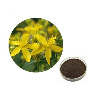 St.John's Wort Ekstraktı