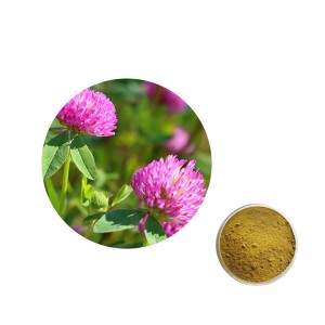 Red clover extract